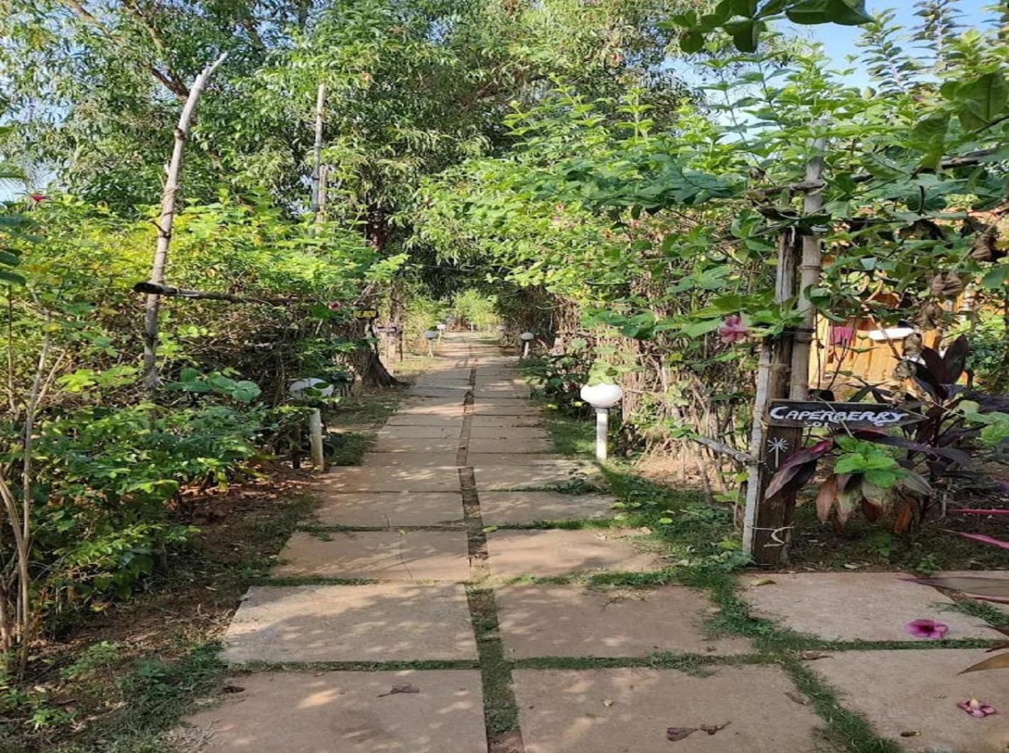 מנדרם Jamboree Creek Yoga מראה חיצוני תמונה