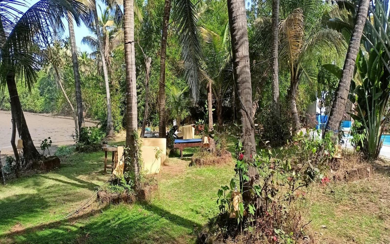 מנדרם Jamboree Creek Yoga מראה חיצוני תמונה