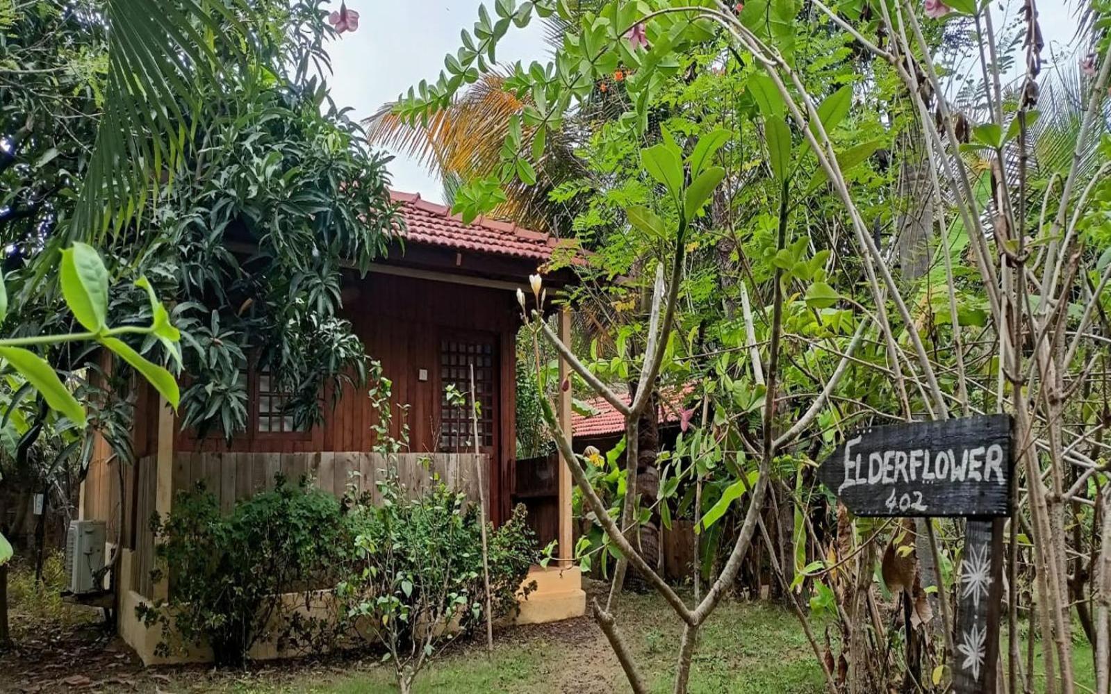 מנדרם Jamboree Creek Yoga מראה חיצוני תמונה
