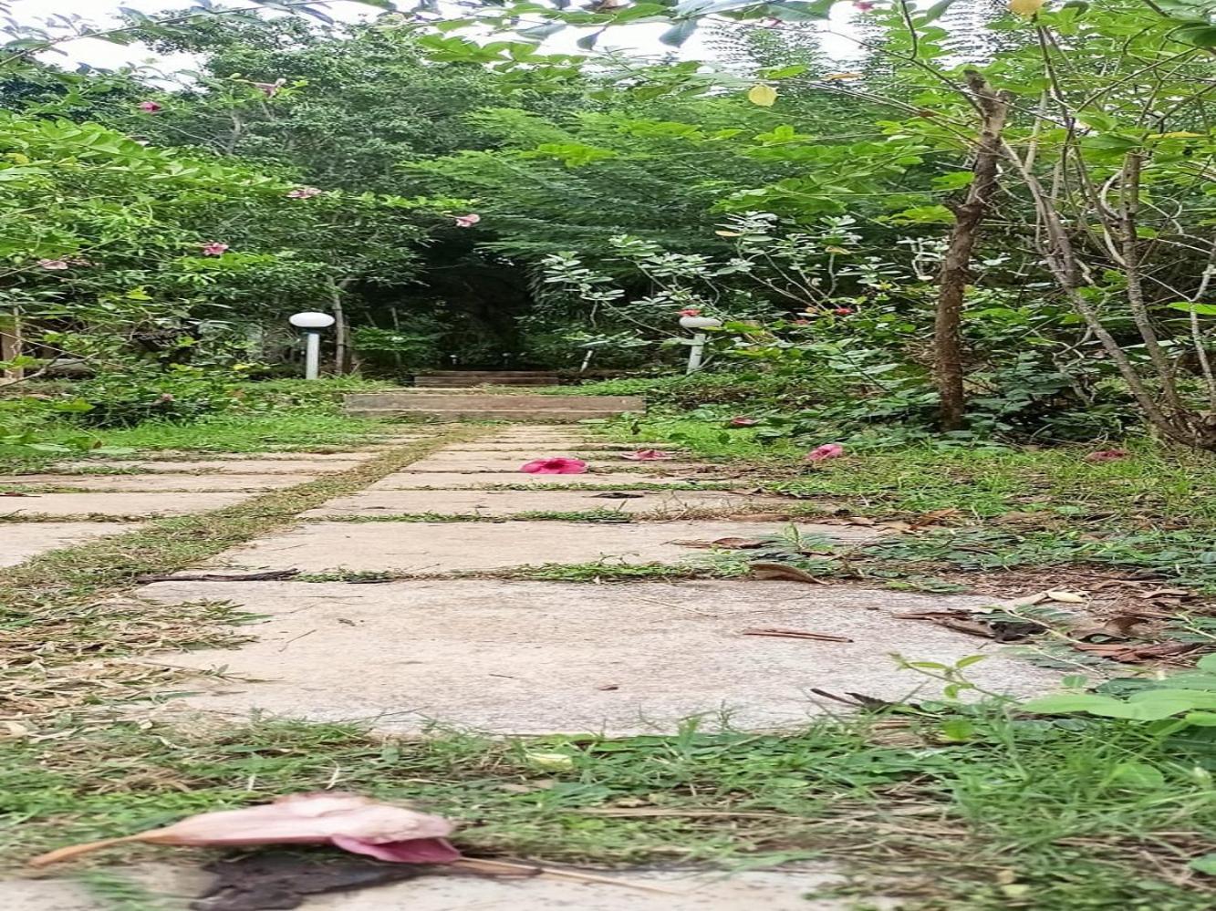 מנדרם Jamboree Creek Yoga מראה חיצוני תמונה