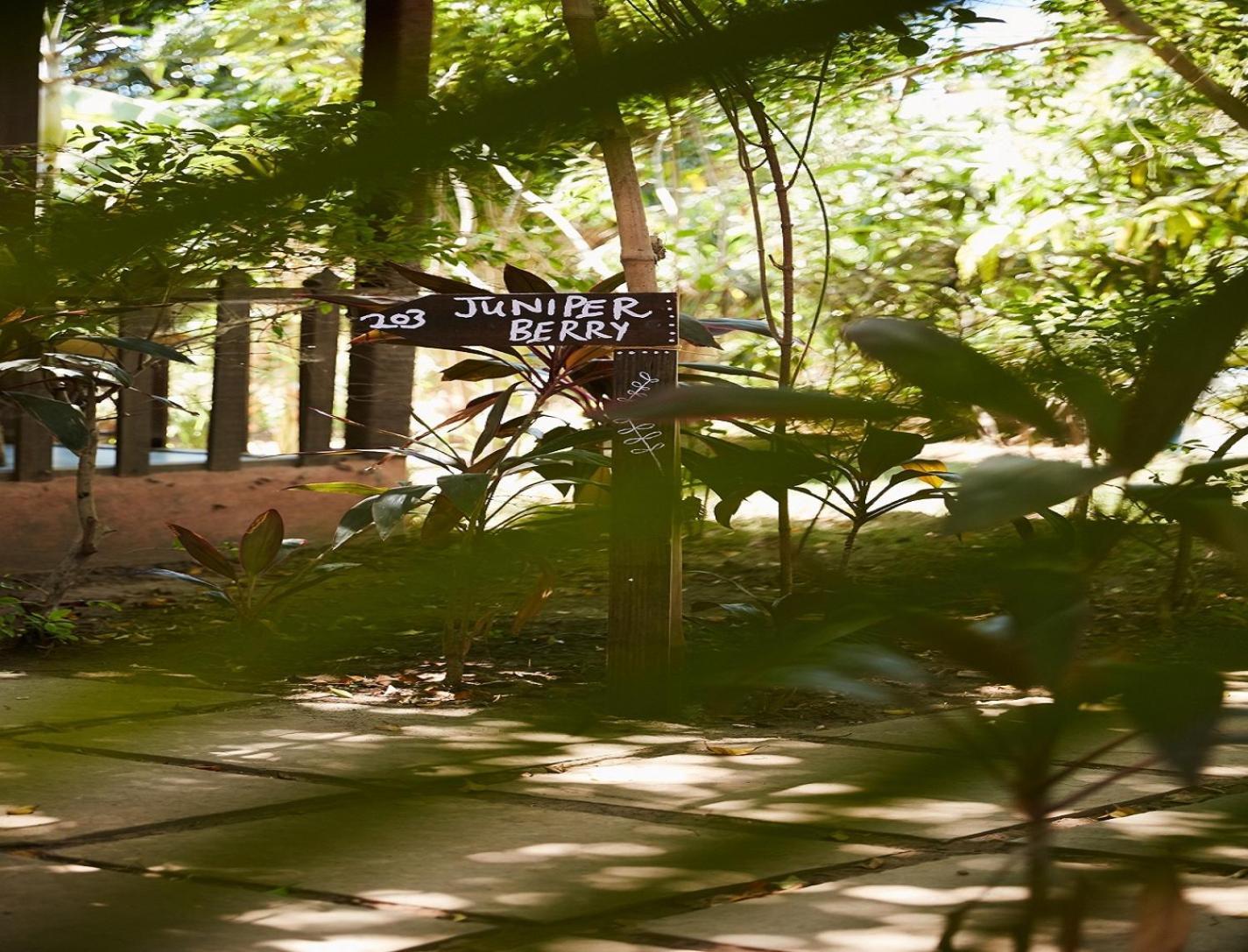 מנדרם Jamboree Creek Yoga מראה חיצוני תמונה